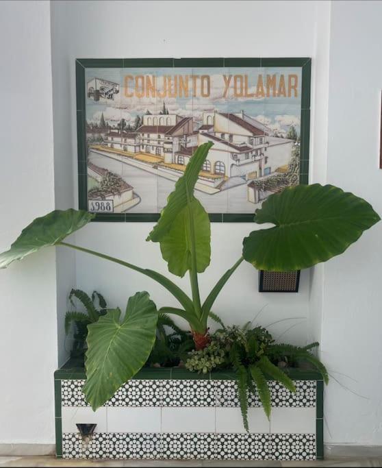 Love Rent4 Malaga Yolamar Benalmádena Extérieur photo